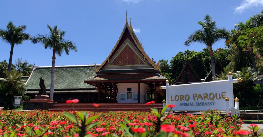 Loro Parque, Siam Park y Poema del Mar: destinos preferidos por los turistas en 2023