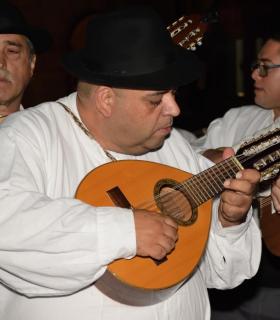 Tacoronte se muestra. 1Âª Feria de Turrones, Vinos y Gastronomía · foto 17