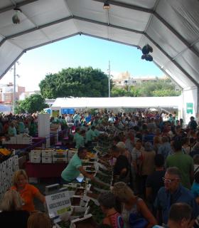 Mogán cierra 2016 con un aumento de actuaciones para el impulso de la agricultura en el municipio. · foto 4