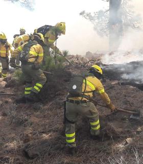 El Cabildo continúa trabajando para controlar el incendio forestal de Granadilla · foto 3