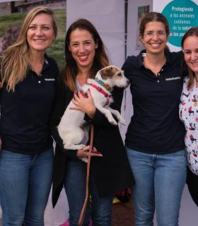 Santa Cruz de Tenerife: 1.115 kilos de pienso, snacks y juguetes donados y tres preadopciones, balance del Día de los Animales · foto 1