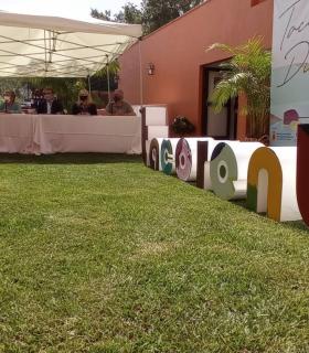 Nace “Tacoronte DiVino”, un encuentro promocional que engloba el vino, la gastronomía y la cultura local · foto 8