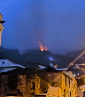 Reactivación con cierto potencial en la zona del Barranco del Lance en el municipio de Santa Úrsula · foto 1