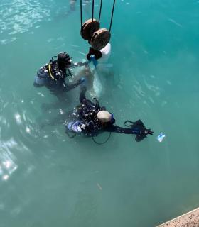 Éxito de limpieza submarina en los fondos de Caleta de Fuste · foto 1
