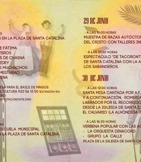 25 carretas participarán en la 33Âª Romería en honor a San Isidro Labrador de Tacoronte · foto 2