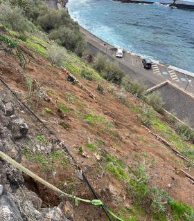 Parques y Jardines acondiciona el talud del litoral de El Pris con recursos más sostenibles · foto 2