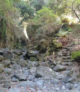 El Cabildo abre definitivamente el sendero de Marcos y Cordero · foto 3