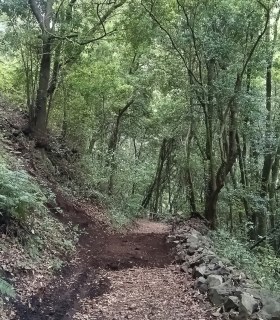 El Cabildo abre definitivamente el sendero de Marcos y Cordero · foto 4