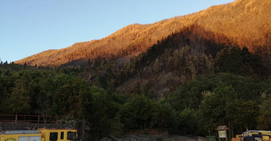El Cabildo de Tenerife declara controlado el incendio forestal de Los Realejos