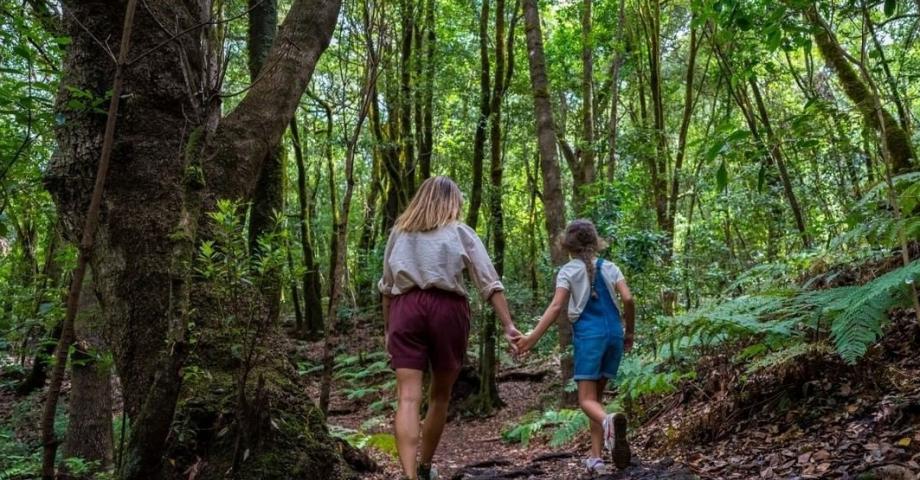 La Gomera acuerda postularse para albergar la sede de la Agencia Europea del Turismo 