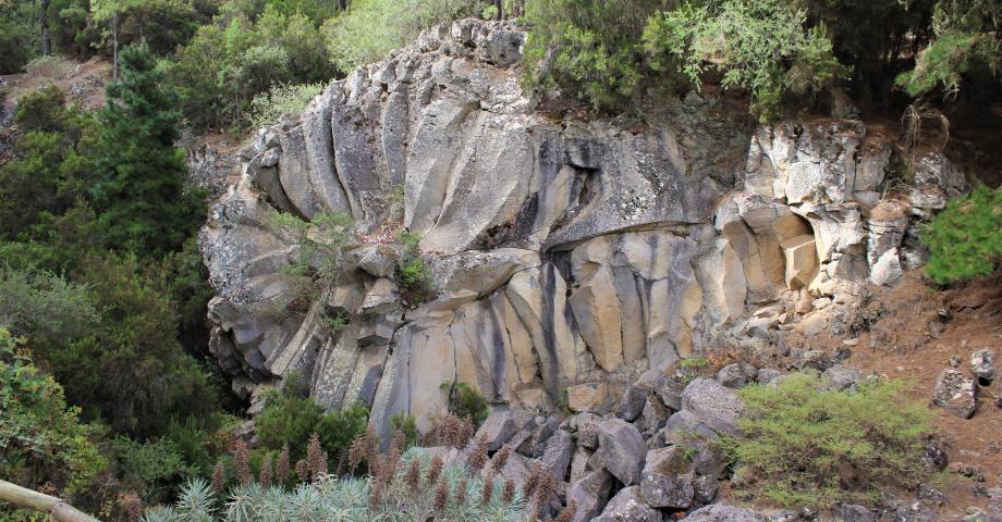 Descubrir La Orotava a través de sus dragos y miradores