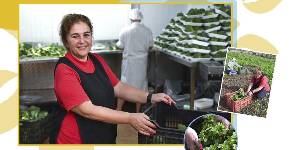 El Mercado de Guía acoge este viernes el reconocimiento a la agricultora y empresaria Lidia Santiago Hernández