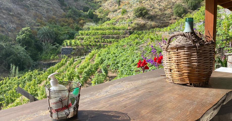 El Cabildo de La Gomera felicita a la Bodega Montoro por la medalla de oro obtenida en VinEspaña 2023