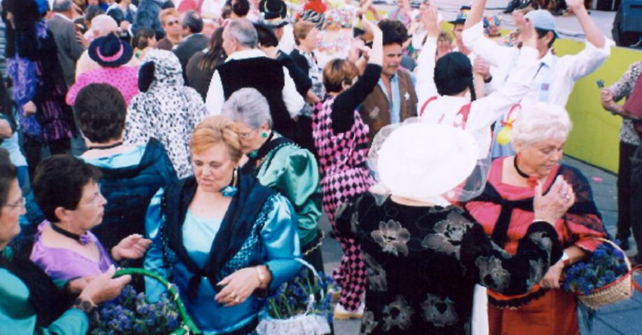 Los Realejos celebra este miércoles su Carnaval de Mayores 