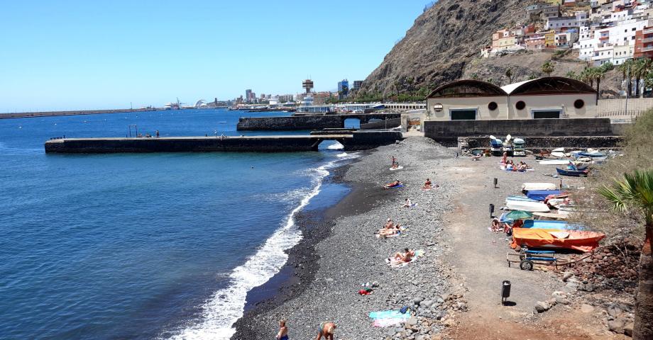 Santa Cruz autoriza una zona de acceso para perros en la playa 'Acapulco' 