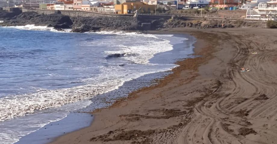 Telde cerrará de manera temporal la cala de La Garita para una óptima limpieza de algas