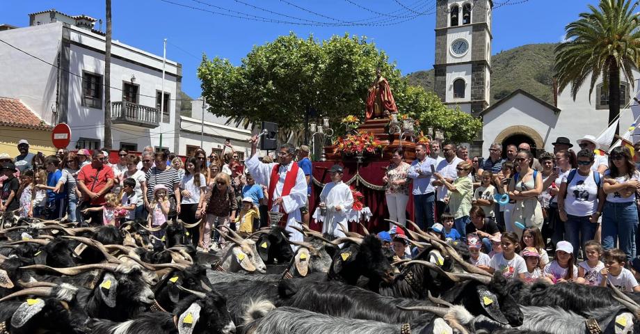 Tegueste celebra su tradicional desfile y bendición de ganado por la festividad de San Marcos