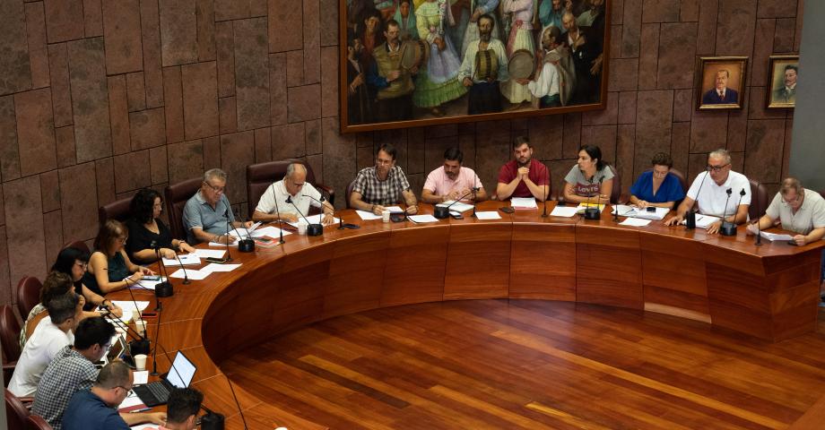 El Cabildo exige a Endesa que asuma las pérdidas ocasionadas a particulares y empresas