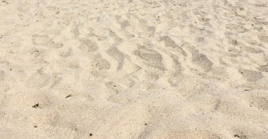 Tumbada en la arena