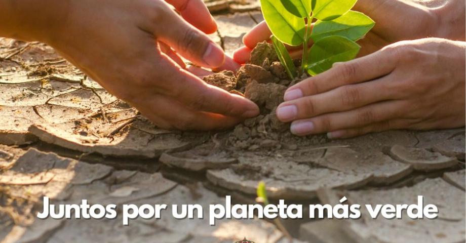  Tacoronte organiza una jornada de concienciación medioambiental por el Día Internacional contra el Cambio Climático