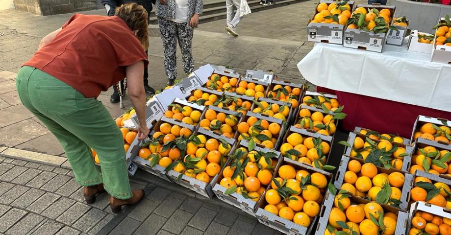 Más de 15.000 personas disfrutan de la XIII Feria de la Naranja de Telde