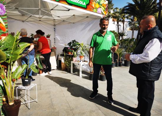 Mercado agr&iacute;cola este domingo en Antigua con hortalizas frescas y la parranda Los Aperos