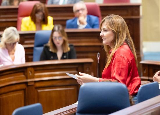 El Gobierno reivindica que la migración en Canarias sea considerada como un asunto estructural y no puntual