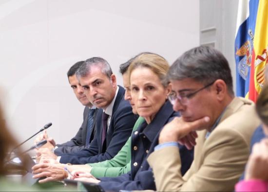 Econom&iacute;a apuesta por convertir Canarias en un destino comercial inteligente