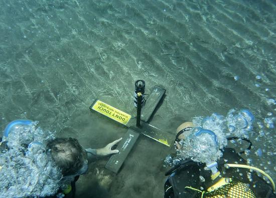 Loro Parque Fundación investiga los paisajes sonoros submarinos de Canarias