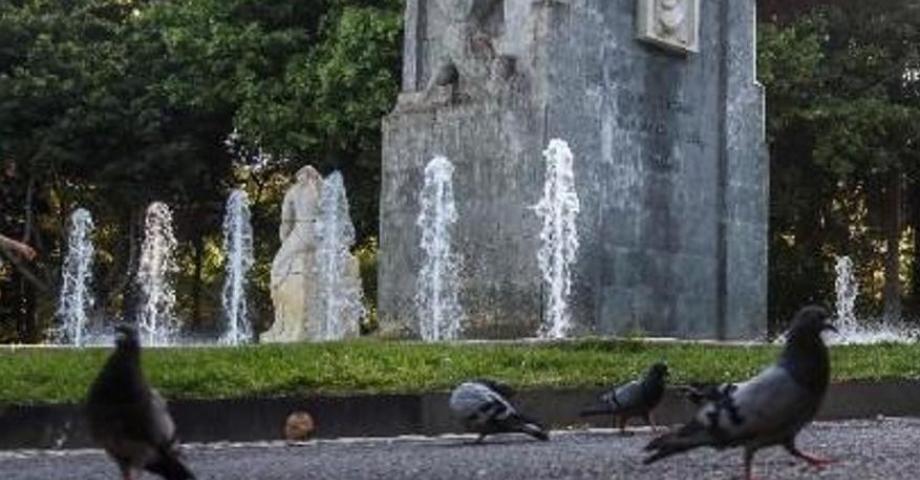 Santa Cruz sanciona con 1.500 euros a una mujer por dar de comer a las palomas