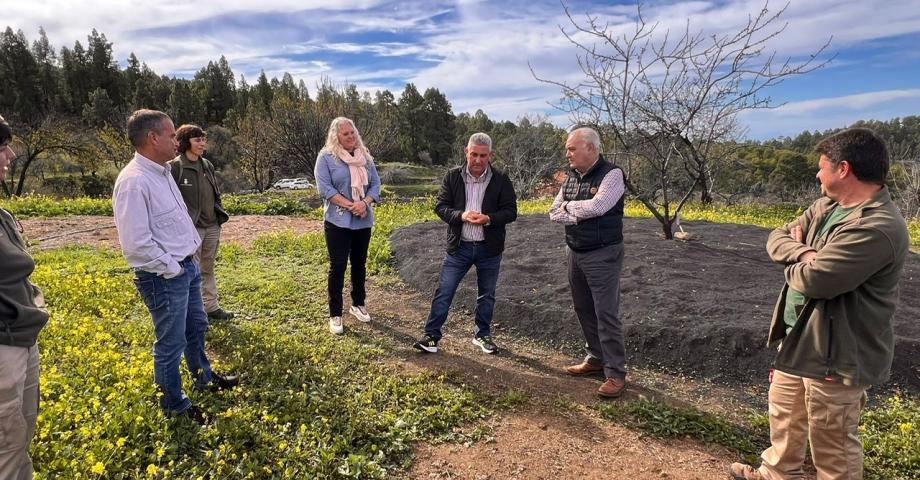 Garafía y Transición Ecológica trabajan en la mejora de los cultivos de almendro del municipio