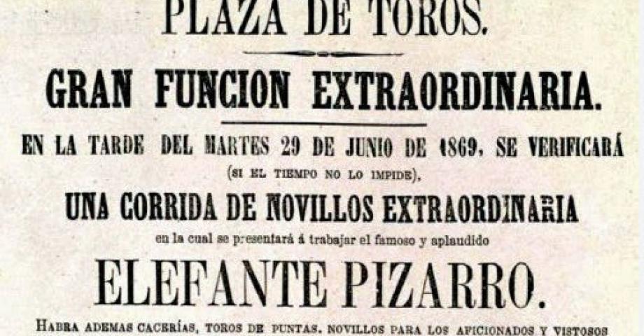 La casa de fieras de Madrid: la Elefanta Pizarro