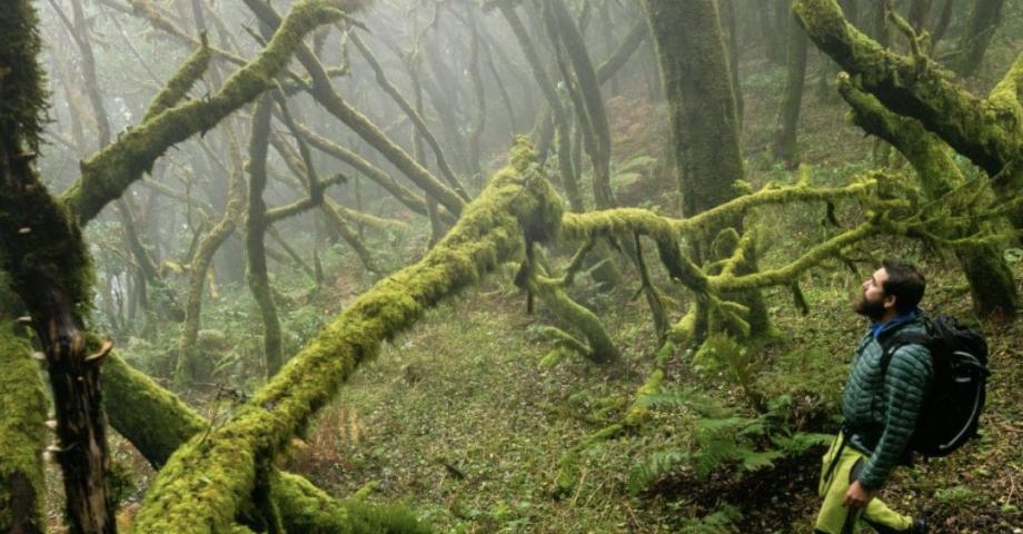 La Gomera llega a FITUR con una apuesta renovada para consolidarse en el mercado nacional