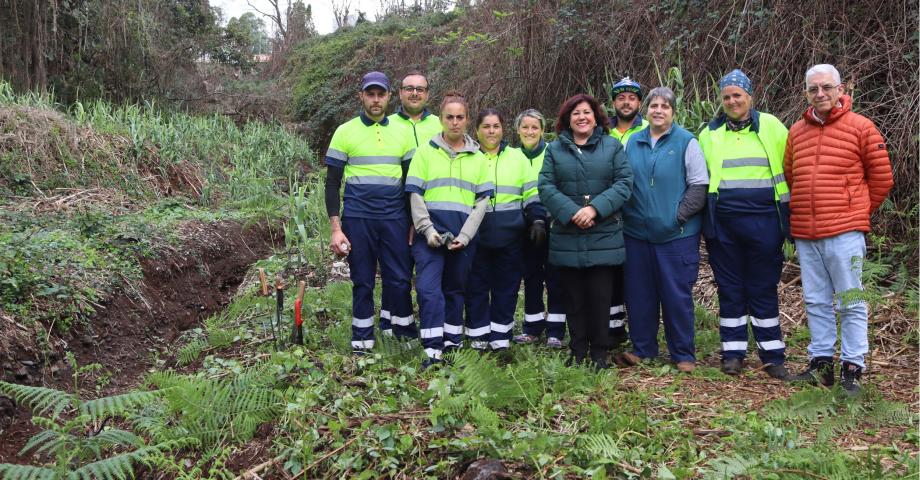 El Ayuntamiento de Tacoronte mejora el barranco Granados, en la zona de Hoya Machado