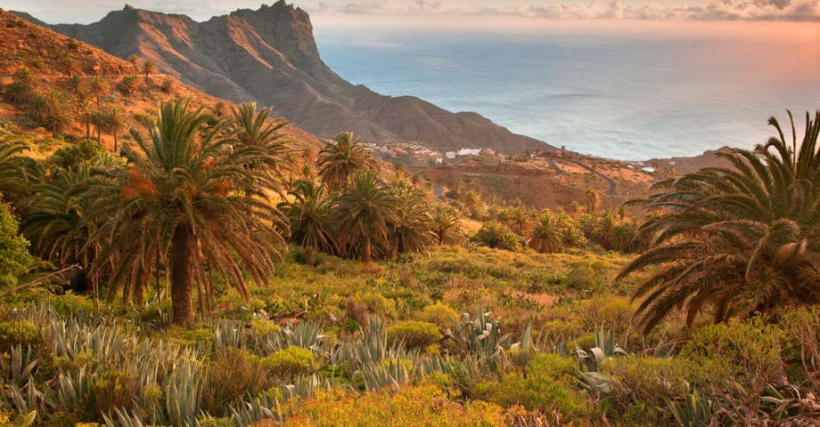 Los tesoros naturales de La Gomera protagonizan un reportaje en la revista Viajes de National Geographic