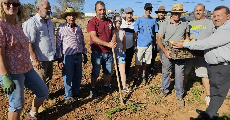 Por diploma se entrega una caja de papas a cada participante