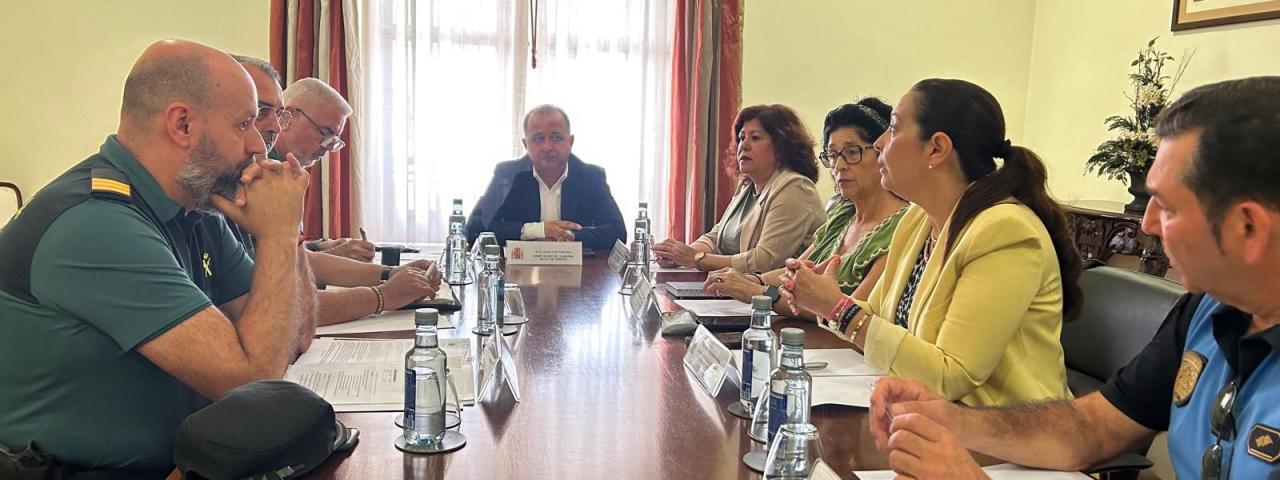 El Ayuntamiento de Tacoronte solicita a la Subdelegación del Gobierno más líneas de colaboración en materia de seguridad