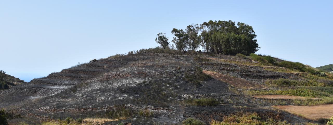 Investigación abierta tras dos incendios provocados el domingo en El Rosario, el segundo de ellos de madrugada