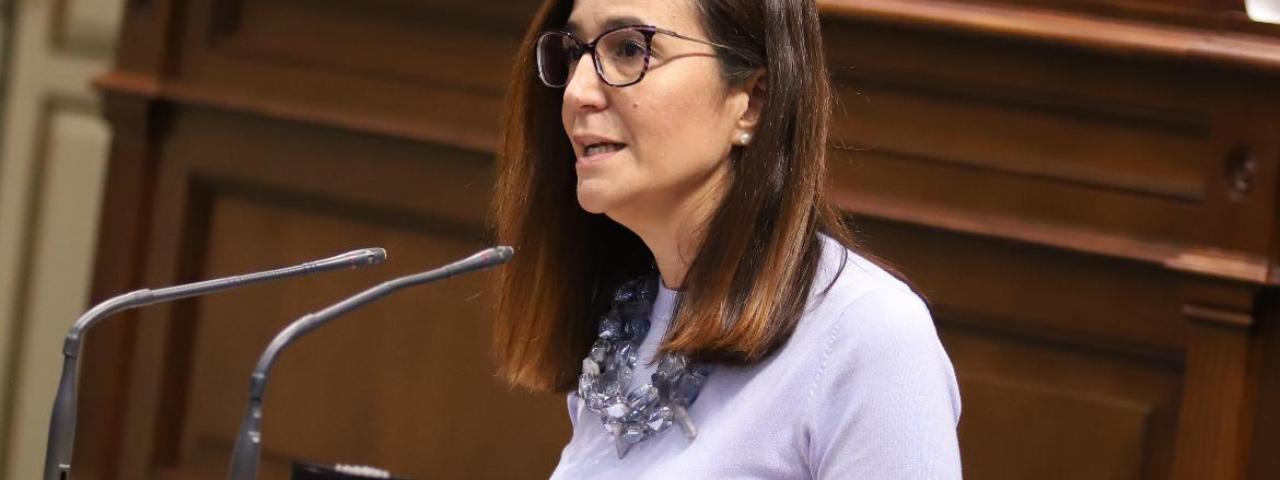 Nueva Canarias-bc denuncia el "naufragio“ inminente en la gestión de los servicios sociales en Canarias