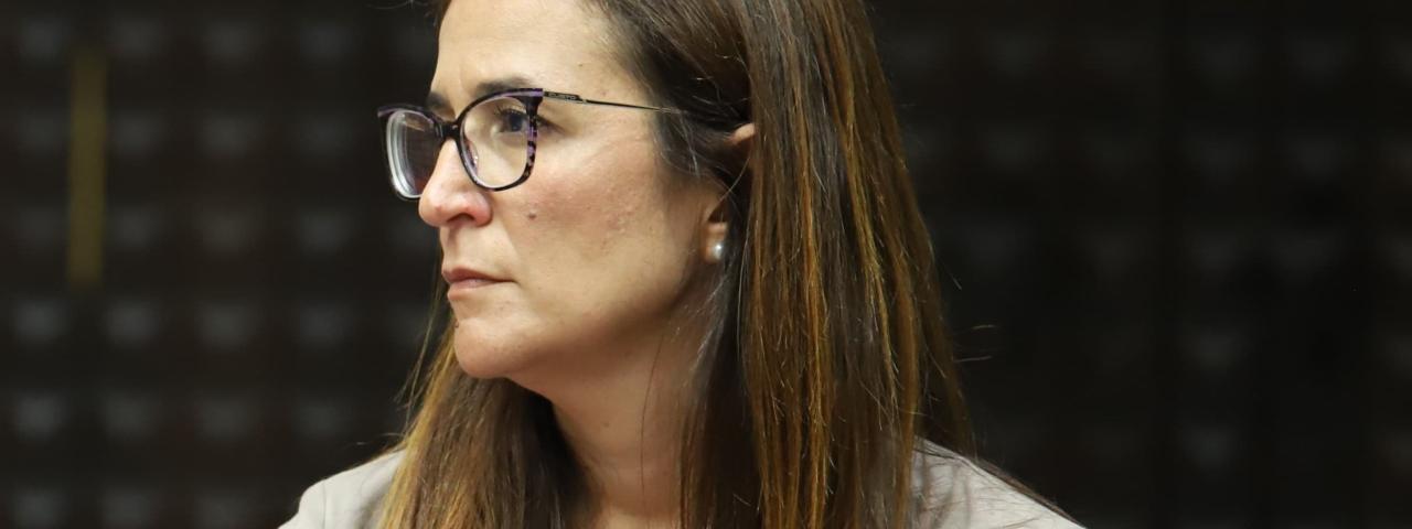 Santana defiende un impuesto sobre las estancias turísticas que exceptúe a los residentes canarios