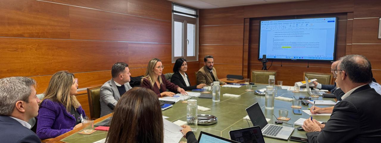 Canarias propone al Estado la firma de un convenio plurianual para la financiación de los trenes