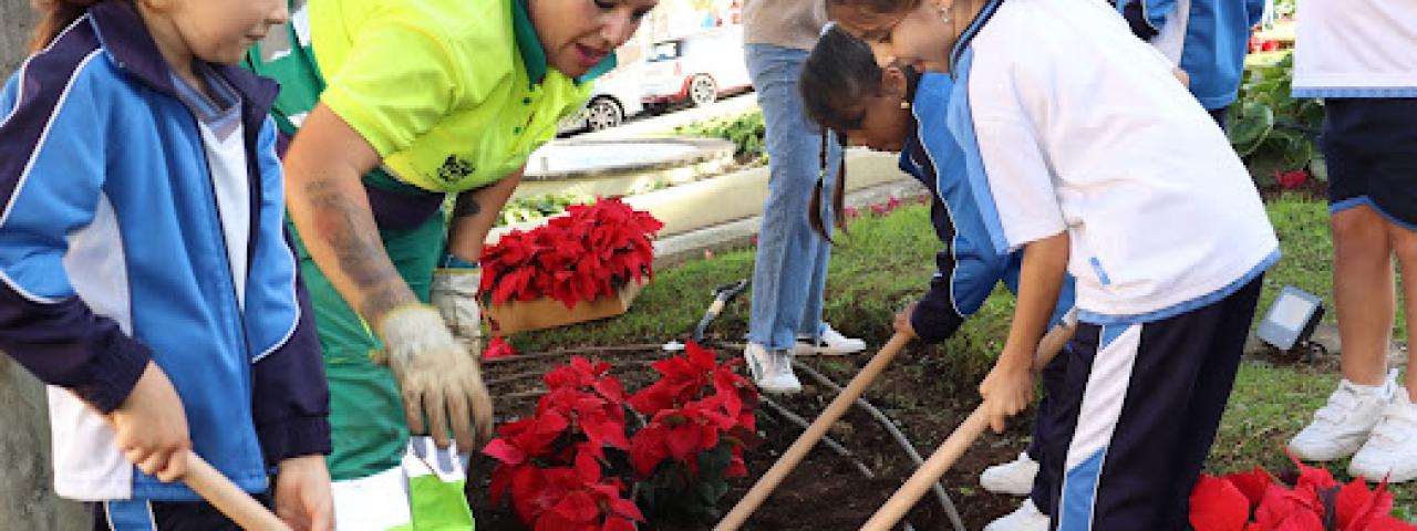 Niños del colegio de La Milagrosa participan con los jardineros municipales en la plantación de las flores de pascua