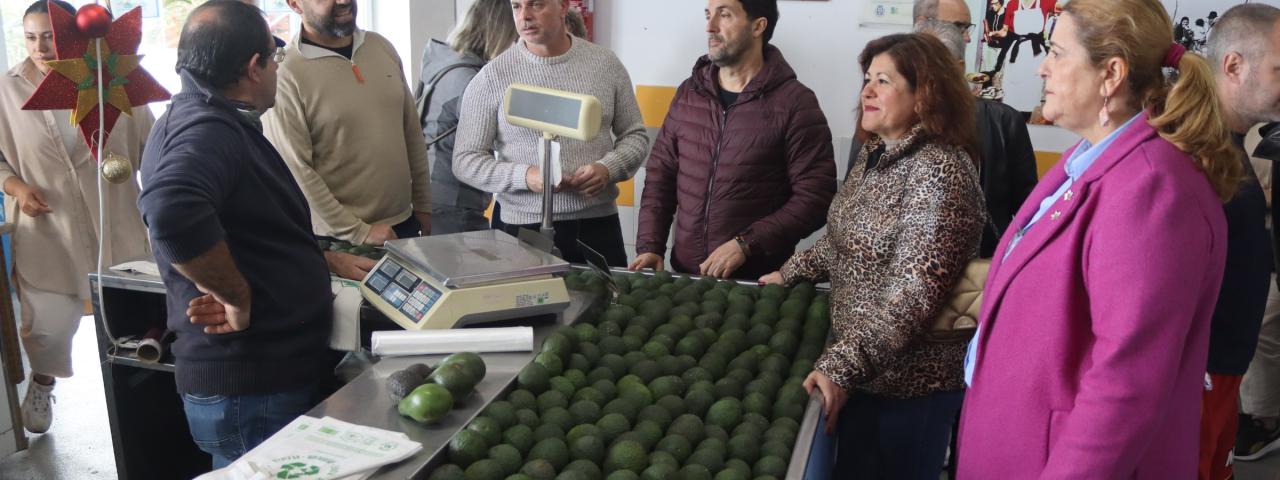 Adjudicado el proyecto de reforma de la instalación eléctrica del Mercadillo del Agricultor de Tacoronte