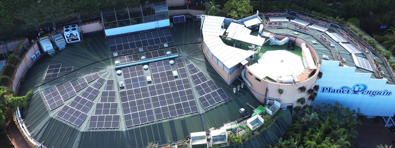 LORO PARQUE Y SIAM PARK CELEBRAN LA OBTENCIÓN DE LA CERTIFICACIÓN BIOSPHERE SUSTAINABLE