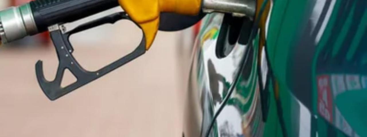 Somos Tacoronte rechaza la imposición del "céntimo forestal“ aprobado por el Cabildo de Tenerife