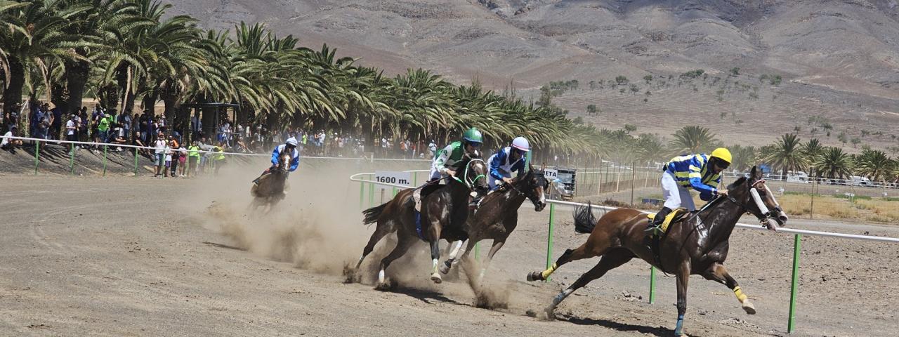 A galope en la carrera de caballos este sábado en la pista de Pozo Negro
