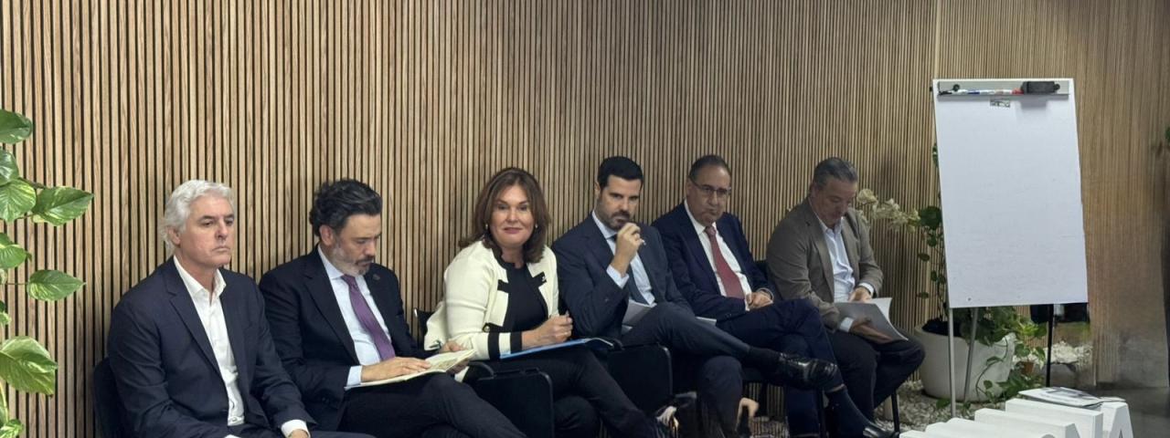 El PP reclama que Canarias sea el punto de partida de la e&oacute;lica marina y denuncia el bloqueo del Gobierno central