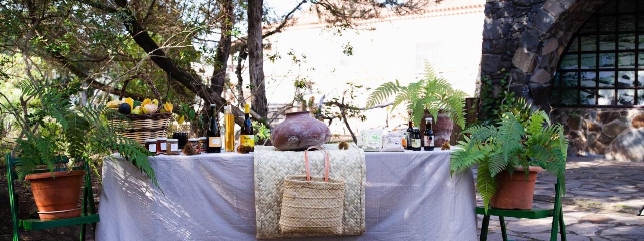 Diez empresas locales avanzan en su incorporaci&oacute;n a la Carta Europea de Turismo Sostenible en Vallehermoso