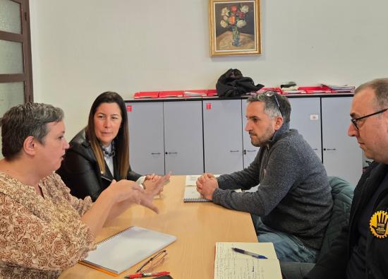 El PSOE lleva al Congreso la protecci&oacute;n de los trabajadores del tranv&iacute;a tras m&aacute;s de un a&ntilde;o reclamando a D&aacute;vila que se tome en serio la huelga