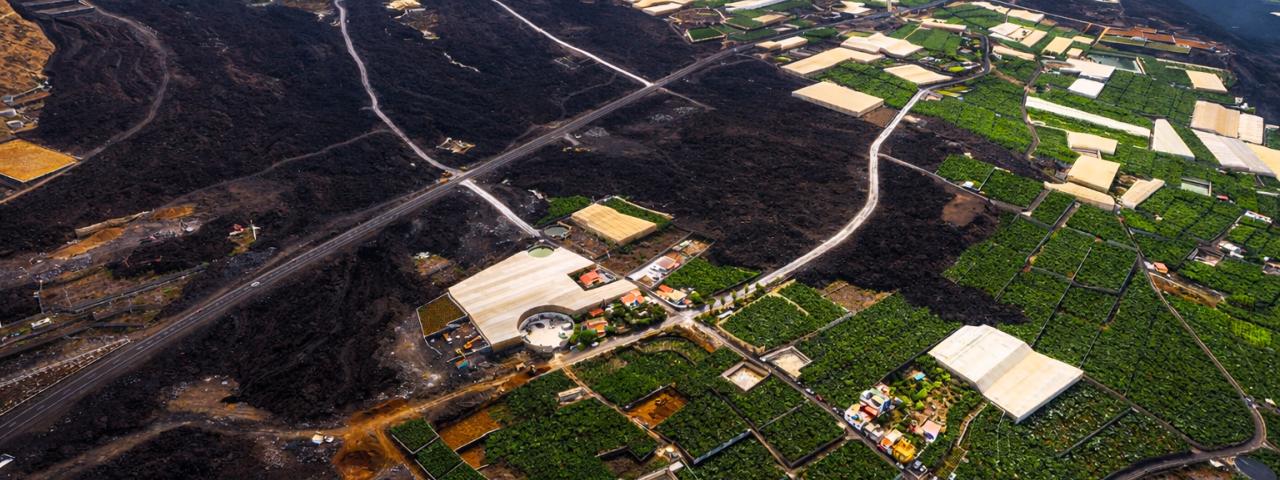 ASEPALMA celebra el cumplimiento del Gobierno canario con los agricultores afectados del volc&aacute;n y reclama al Estado los fondos pendientes para completar la reconstrucci&oacute;n